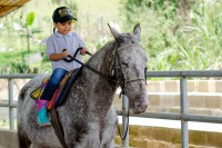 /album/fotogaleria/sierra-dorada-19-jpg/